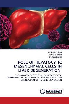 ROLE OF HEPATOCYTIC MESENCHYMAL CELLS IN LIVER DEGENERATION
