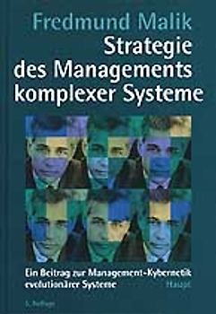 Strategie des Managements komplexer Systeme