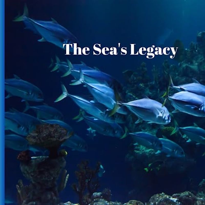 The Sea's Legacy,Road Trıp,Funny Preschool Kındergarden, Homeschool Kıds