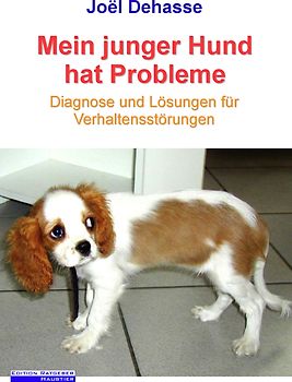 Mein junger Hund hat Probleme
