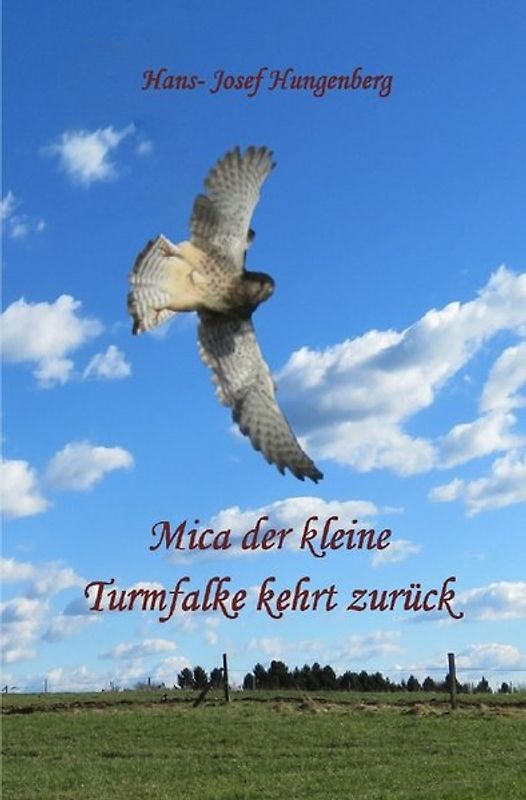 Mica der kleine Turmfalke kehrt zurück