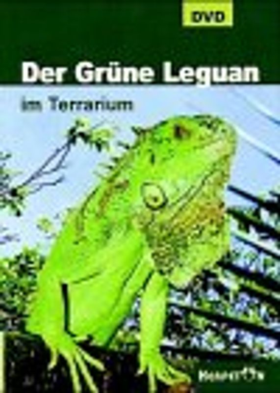 Der Grüne Leguan im Terrarium DVD