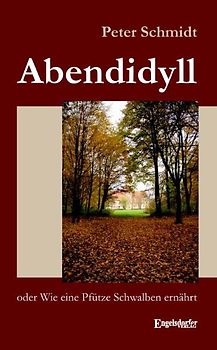 Abendidyll oder Wie eine Pfütze Schwalben ernährt