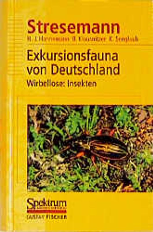 Stresemann - Exkursionsfauna von Deutschland. Band 2: Wirbellose: Insekten