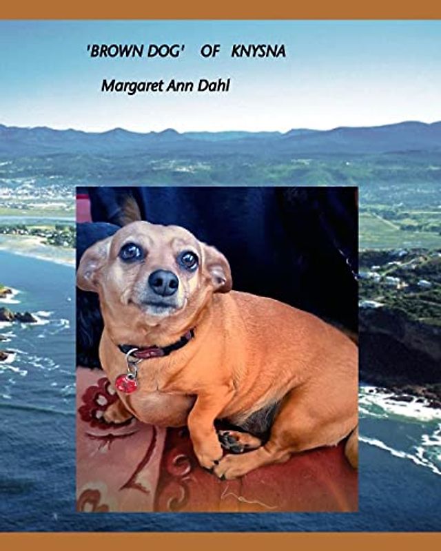 Brown Dog of Knysna
