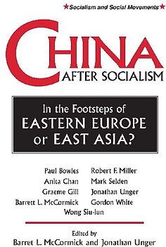 China After Socialism
