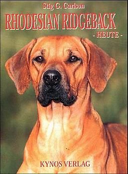 Rhodesian Ridgeback heute
