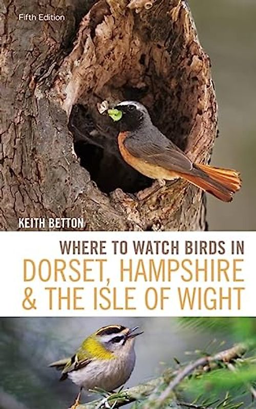 Where to Watch Birds in Dorset, Hampshire and the Isle of Wight