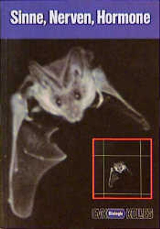 Kollegband Sinne, Nerven, Hormone