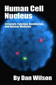Human Cell Nucleus: Structure, Function, Dysfunction, and Nuclear Medicine
