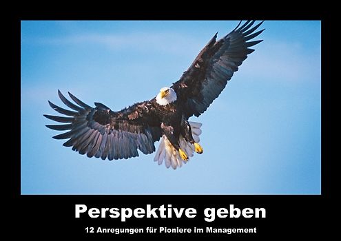 Perspektive geben (Posterbuch DIN A3 quer)