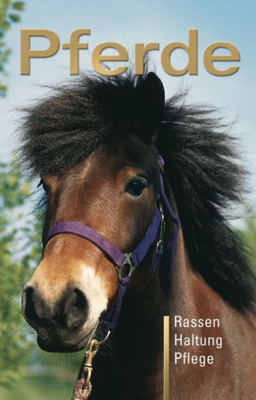 Pferde