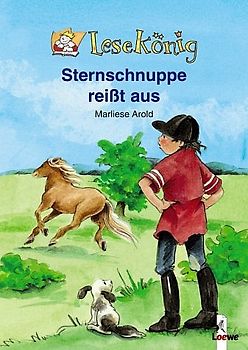 Sternschnuppe reisst aus