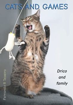 Cats and games: Drico and family