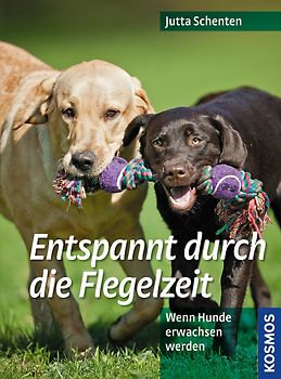 Entspannt durch die Flegelzeit