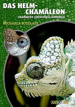 Das Helmchamäleon