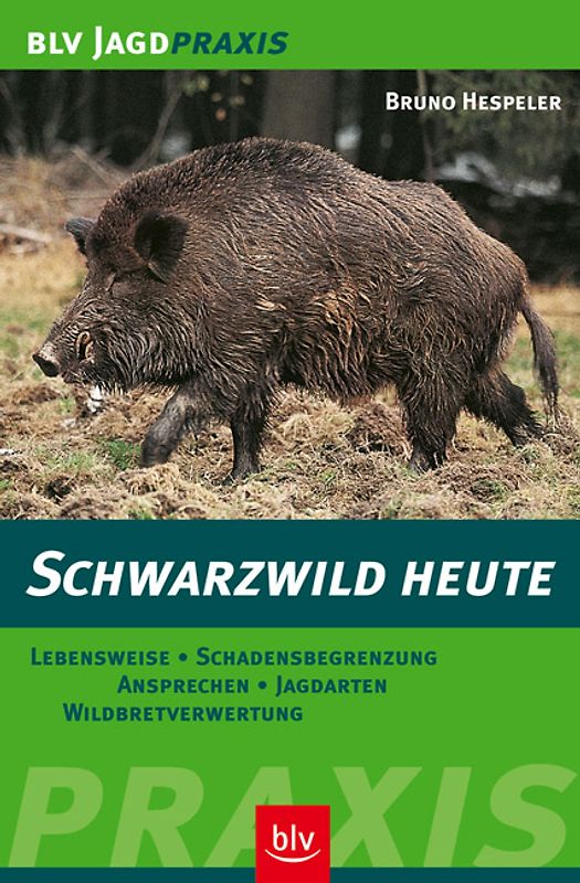Schwarzwild heute