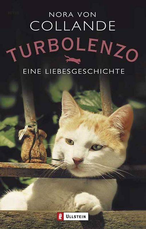 Turbolenzo
