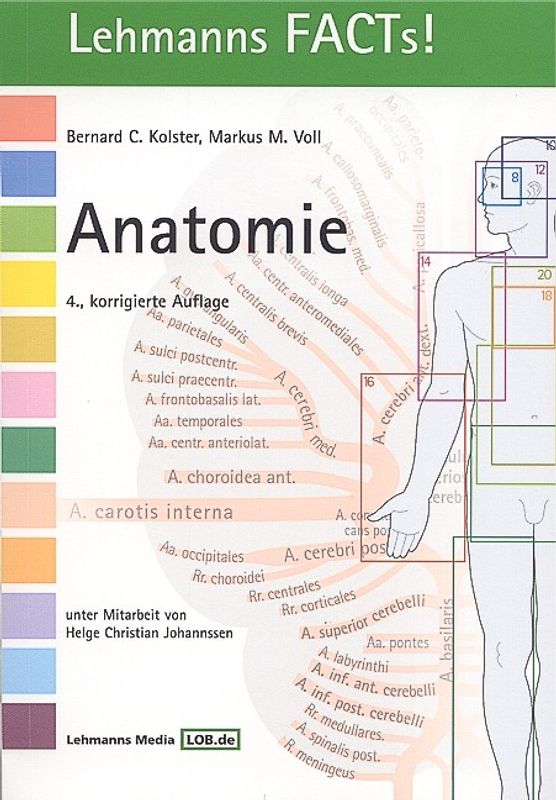 Anatomie