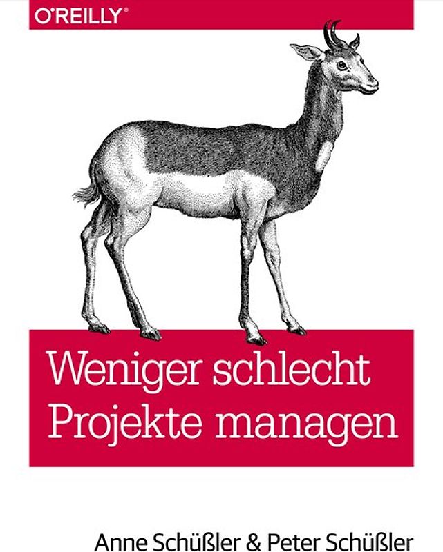 Weniger schlecht Projekte managen
