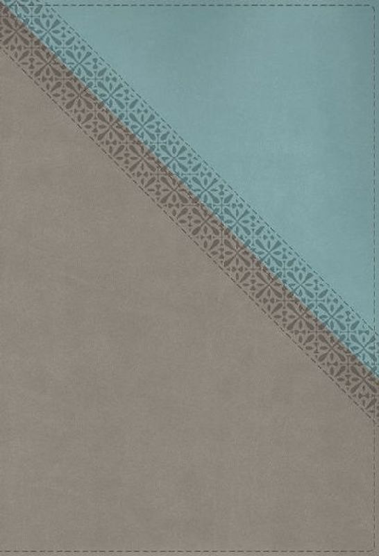 NIV Application Bible, Leathersoft, Teal/Grey, Red Letter, Thumb Indexed, Comfort Print