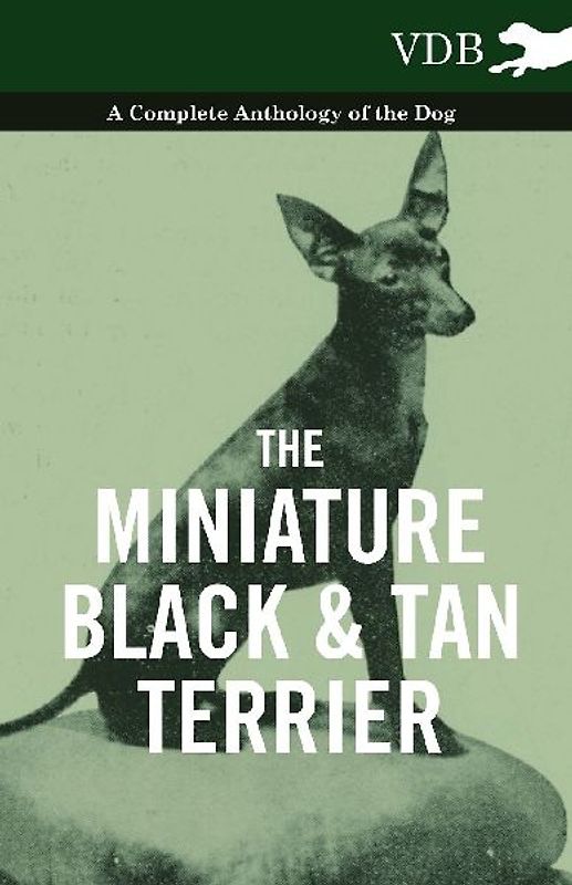 The Miniature Black and Tan Terrier - A Complete Anthology of the Dog