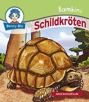 Bambini Schildkröten. Bestandteil der Bambini Starter-Box