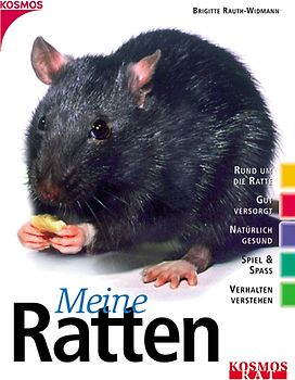 Meine Ratten