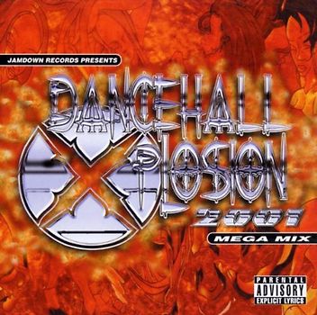 Various - Dancehall Xplosion 2001