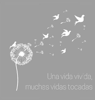 Celebración de la vida, libro funerario, libro de condolencias para firmar (tapa dura).