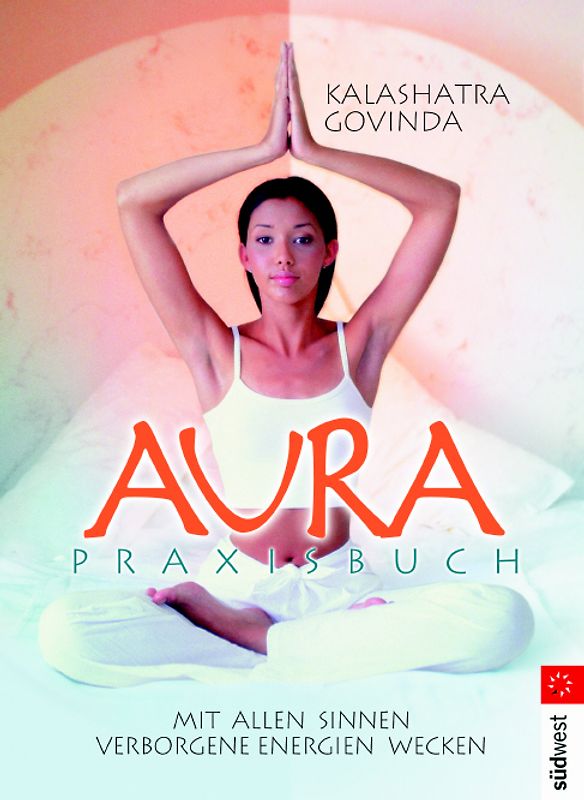 Aura Praxisbuch