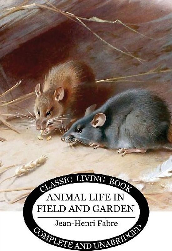 Animal Life in Field and Garden