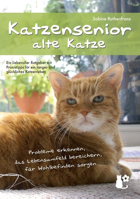 Katzensenior - alte Katze