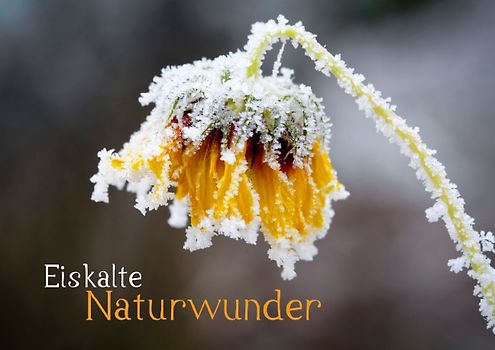 Eiskalte Naturwunder (Posterbuch DIN A4 quer)