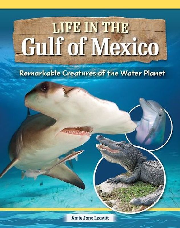 Amazing Creatures of the Gulf of Mexico