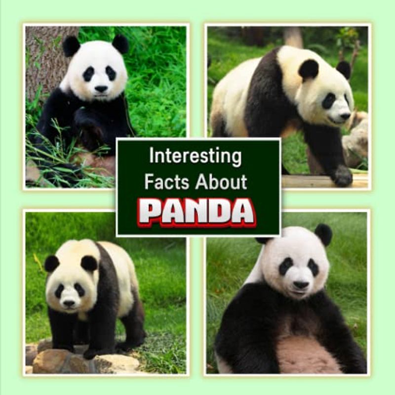 Interesting Facts About Panda: Panda Picture Book for Children's / learn Facts About Giant panda for Kids (A Colorful Picture Book for Kids)