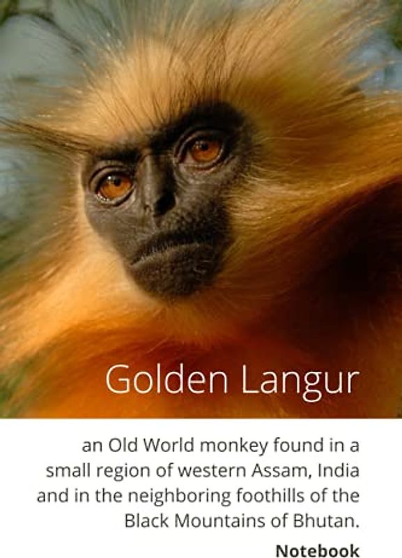 Golden Langur: Notebook
