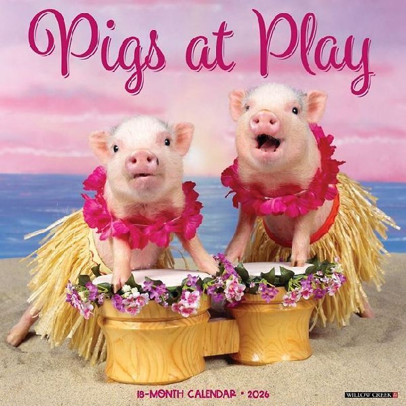 Pigs at Play 2026 12 X 12 Wall Calendar