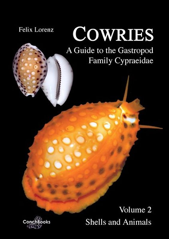 Cowries - A Guide to the Gastropod Family Cypraeidae