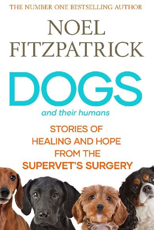 Dogs and Their Humans