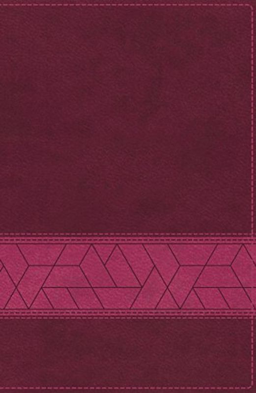 NIV, Storyline Bible, Leathersoft, Pink, Thumb Indexed, Comfort Print: Each Story Plays a Part. See How They All Connect.