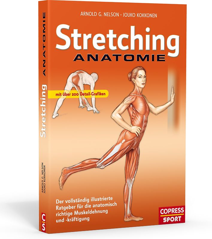 Stretching Anatomie