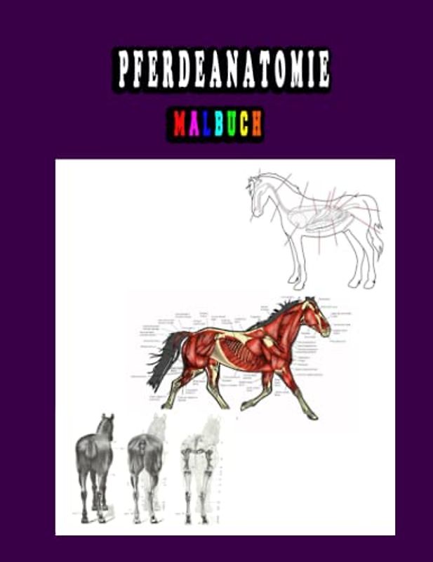 Pferdeanatomie Malbuch: Pferdeanatomie Malbuch für Tierarzthelferinnen und Medizinstudenten ... Perfektes Geschenk für Tiermedizinstudenten und Pferdeliebhaber