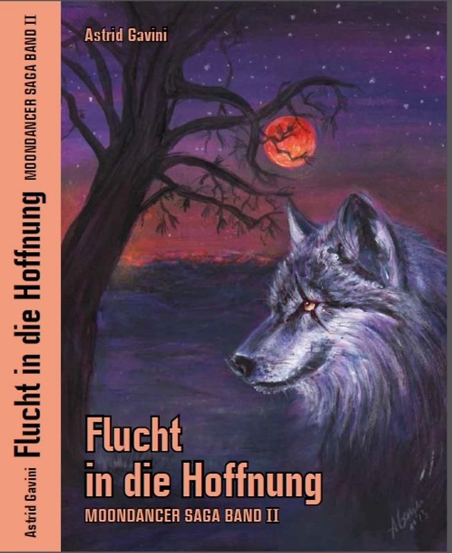 Flucht in die Hoffnung - Moondancer Saga Band II
