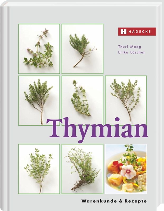 Thymian