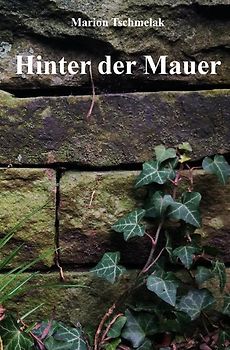 Hinter der Mauer