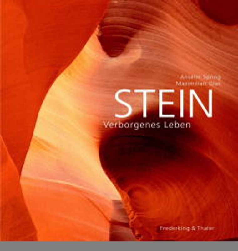 Stein