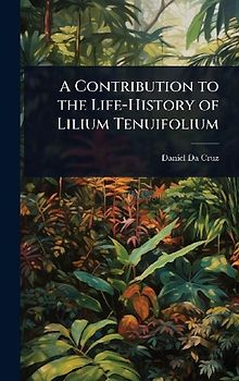 A Contribution to the Life-History of Lilium Tenuifolium