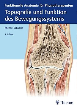 Topografie und Funktion des Bewegungssystems