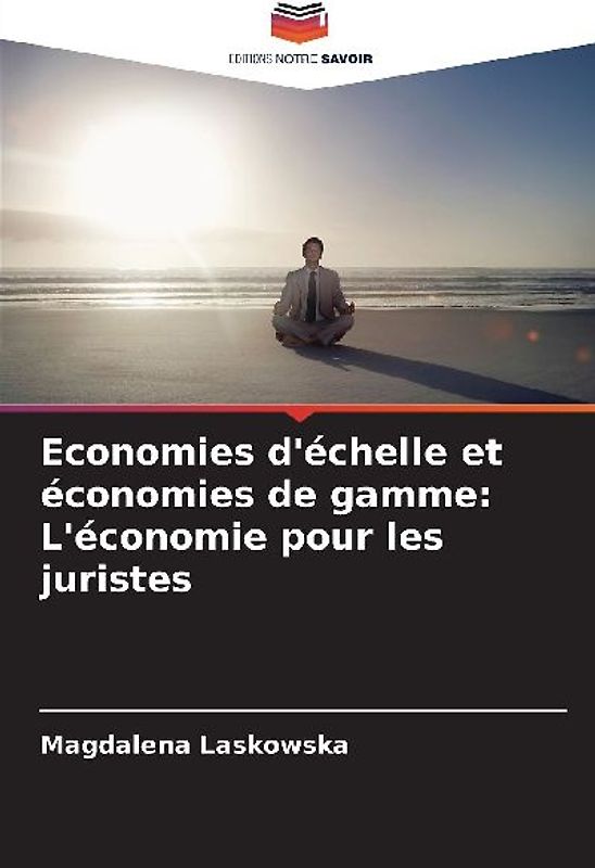 Economies d'échelle et économies de gamme: L'économie pour les juristes